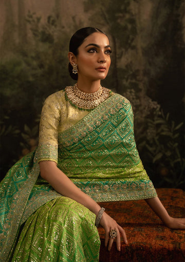 AIK Atelier Look 7 Sari Edit 2025